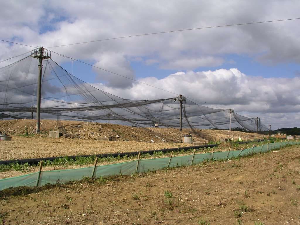 landfill site перевод